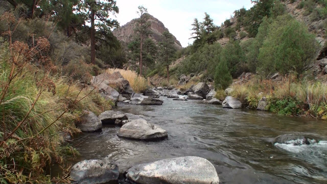 Hunting and Fishing Expo This Weekend May 9 and 10, 2014 and…..